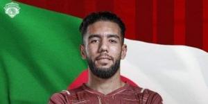 أرقام مميزة واهتمام كبير.. أحمد قندوسى يعود للواجهة فى الدورى المصرى