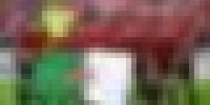 كأس الكاف.. إتحاد العاصمة يواجه آسفي وعينه على العبور للنهائي