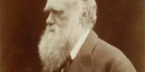 ذكرى رحيل داروين صاحب نظرية التطور.. ما فكرته دون مبالغة
