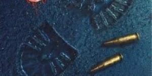 الأدب البوليسى.. أعمال صنعت عالم الغموض والإثارة