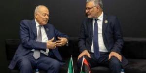 أبو الغيط يبحث مع رئيس المجلس الأعلى الليبي دفع التسوية السياسية