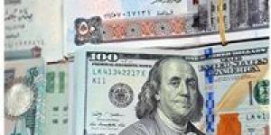 تراجع سعر الدولار في البنوك المصرية يعزز مؤشرات الاستقرار المالي تدريجيًا