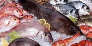 أسعار الأسماك اليوم الإثنين 20 إبريل 2026 في الأسواق