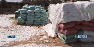 "الزراعة" تتابع حصاد وتوريد القمح بالفيوم.. وغرف عملية مركزية لتذليل العقبات