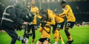 وولفرهامبتون أول الهابطين رسميا من الدوري الإنجليزي إلى التشامبيونشيب