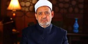 شيخ الأزهر يلتقي رئيس فنلندا ضمن برنامج زيارته الرسمية إلى مصر