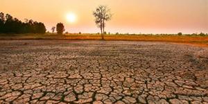 تأثير ظاهرة إلـ نينيو 2026 على مصر.. هل ترتفع الحرارة؟