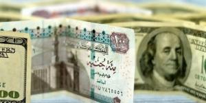 سعر الدولار الآن مقابل الجنيه المصري في البنوك.. تحديثات أسعار الصرف اليوم
