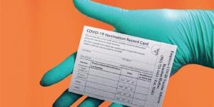 ما عقوبة التزوير في البطاقات الرسمية في مصر؟.. نصوص القانون