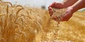 اللواء عمرو عبد الوهاب يكشف تفاصيل نجاح زراعة القمح بمياه عالية الملوحة بالريف المصري