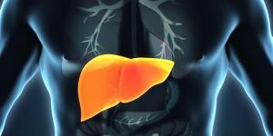 كيف تحمي الكبد من الدهون؟ دليل غذائي يومي شامل