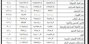 596.5 مليار جنيه.. حجم الدعم والمنح والمزايا الاجتماعية في "ختامي2025"