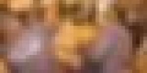 إتلاف كميات ضخمة من المخدرات بالشلف في عملية جهوية تحت إشراف قضائي