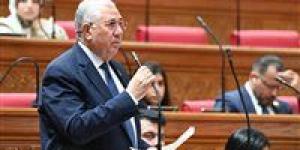 النائب السيد القصير: الاقتصاد المصري يسير في اتجاه إيجابي رغم التحديات ويجب رفع كفاءة الإنفاق