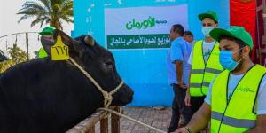 موعد عيد الأضحى 2026 في الأردن.. متى أول أيام العيد الكبير؟