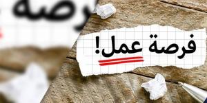 مديرية العمل بالمنوفية تعلن توفير 110 فرص عمل للشباب بمختلف التخصصات