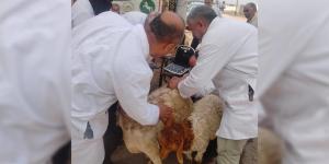 ضمن مبادرة "بداية".. جامعة الزقازيق تُطلق قافلة طبية وتوعوية شاملة