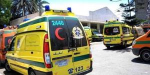إصابة طالب على يد زميله ووالده في مشاجرة أمام مدرسة فيديمين الثانوية بالفيوم
