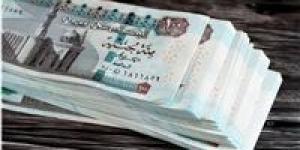 هدية الحكومة للعاملين بالدولة.. بشرى سارة للموظفين قبل عيد الأضحى المبارك
