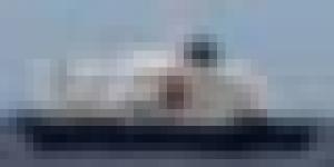 وصول سفينة سياحية منكوبة بفيروس هانتا إلى تينيريفي في إسبانيا
