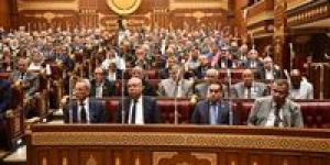 النائب أحمد العادلي: تطوير مصر للطيران والمطارات خطوة استراتيجية لتعزيز مكانة مصر وتنافسية النقل الجوي الدولي