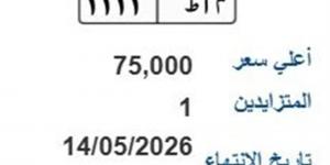 عبر بوابة المرور.. طرح لوحة مميزة للمزاد بسعر 75 ألف جنيه