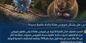 الحكومة تحسم الجدل: لا إصابات بـ"هانتا" في مصر والفيروس لن يتحول لجائحة