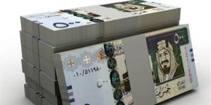 سعر الريال السعودي اليوم الخميس 14 مايو 2026 في مصر.. تحديثات رسمية