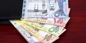 سعر الريال السعودي اليوم الجمعة 15-5-2026 أمام الجنيه في بعض البنوك