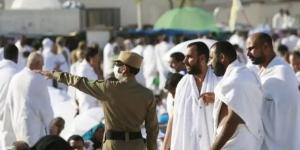 "الجميع بخير".. تضامن الغربية تتابع أحوال حجاج الجمعيات بالأراضي المقدسة