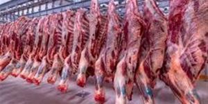 أسعار اللحوم والأضاحي والخراف اليوم السبت 16-5-2026