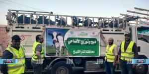 توزيع 50 ألف كيلو لحوم و50 عجل بلدى للأسر الأولى بالرعاية بكفرالشيخ