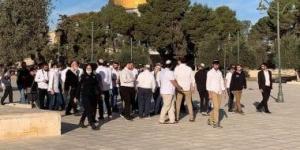 مستوطنون يؤدون طقوسا تلمودية عند مدخل سنجل شمال رام الله لليوم الثانى على التوالى