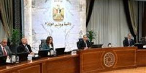 رئيس الوزراء يشدد على ضرورة مُواجهة ظاهرة انتشار «الكلاب الضالة»