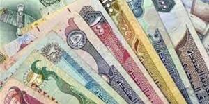 سعر الدرهم الإماراتي مقابل الجنيه المصري اليوم الجمعة 22 مايو 2026