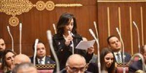 عضو خارجية الشيوخ : فتح سفارة لكيان انفصالي بالقدس انتهاك فاضح لقرارات مجلس الأمن