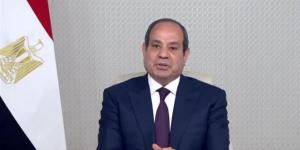 نائبة: مشاركة الرئيس السيسي في الاتصالات الدولية تؤكد الثقة العالمية في مصر
