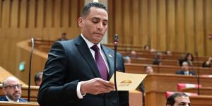 النائب أحمد الوليد: كلمة الرئيس السيسي في يوم إفريقيا تعكس الدور المصري بالقارة