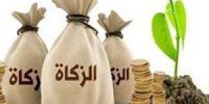 هل يجوز إخراج زكاة المال المتأخرة على أقساط؟.. أمين الفتوى يجيب