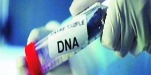 البصمة الوراثية.. مشروع قانون الأسرة يمنح الـDNA دورًا حاسمًا