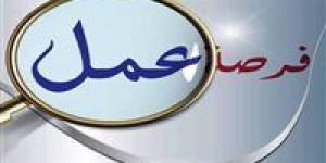 وزارة العمل تعلن عن 45 فرصة عمل بشركة “الأخوة لصناعة السيراميك” بالسويس