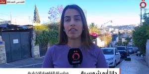 الاحتلال يبرر غاراته على جنوب لبنان ويهدد الضاحية وبيروت