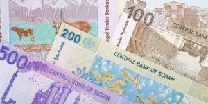 ظهور عملات مزورة في نيالا.. مخاوف بشأن مستقبل الاستقرار النقدي بدارفور
