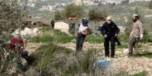 مستوطنون يضرمون النار في أراضي "برقا".. والاحتلال الإسرائيلي يقتحم بلدة "سنجل"