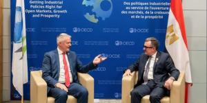 مصر تُعزز شراكتها مع "OECD" لدعم الإصلاحات الهيكلية وبرنامج التنمية 2026-2030
