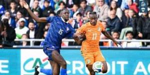 فرنسا ضد ساحل العاج.. سقوط الديوك أمام الأفيال 2 - 1 (فيديو)