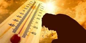 انخفاض الحرارة 4 درجات.. الأرصاد تعلن تفاصيل طقس غدا وتحذر من الأتربة والشبورة