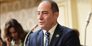 مجاهد نصار: التحركات المصرية تعكس التزامًا راسخًا بدعم القضية الفلسطينية وترسيخ الاستقرار الإقليمي