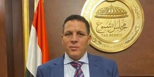 عضو بالشيوخ: 30 يونيو تمثل علامة فارقة في التاريخ المصري الحديث