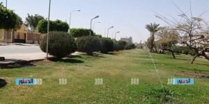 الإسماعيلية تكثف أعمال التشجير والتجميل لدعم المساحات الخضراء في حي الشيخ زايد